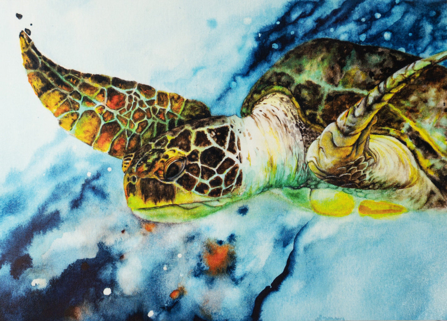 Sea Turtle A6 Large Blank Note Cards - Multiple Quantities